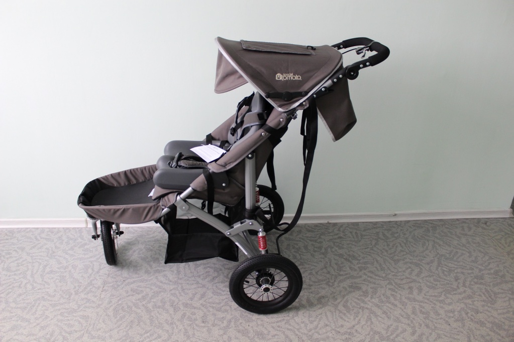 Коляска Special Tomato Jogger_общий вид1.JPG